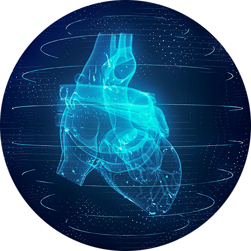 electrocardiogram