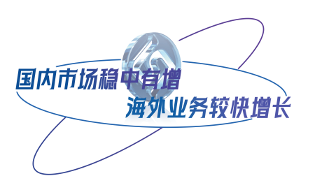 国内市场稳中有增，外洋业务较快增长.png
